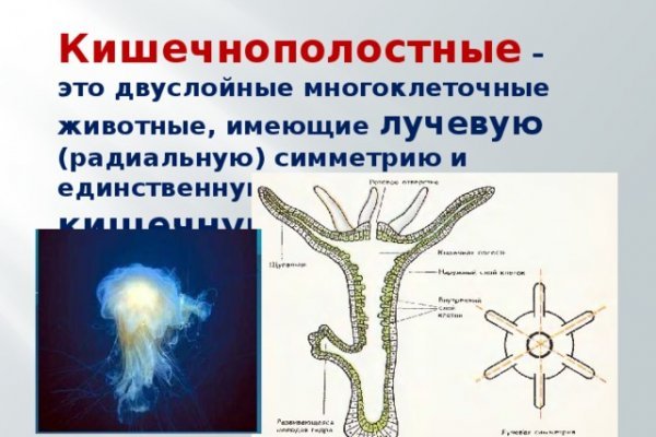 Как зайти на кракен с телефона